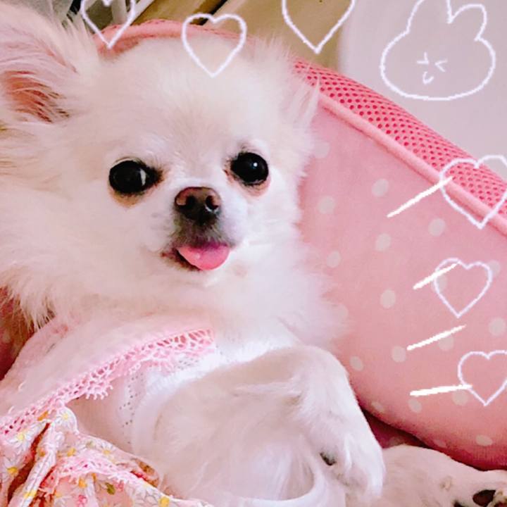 5d97b8d9 3ec7 4144 b4c7 7196a428870a 1596931579470