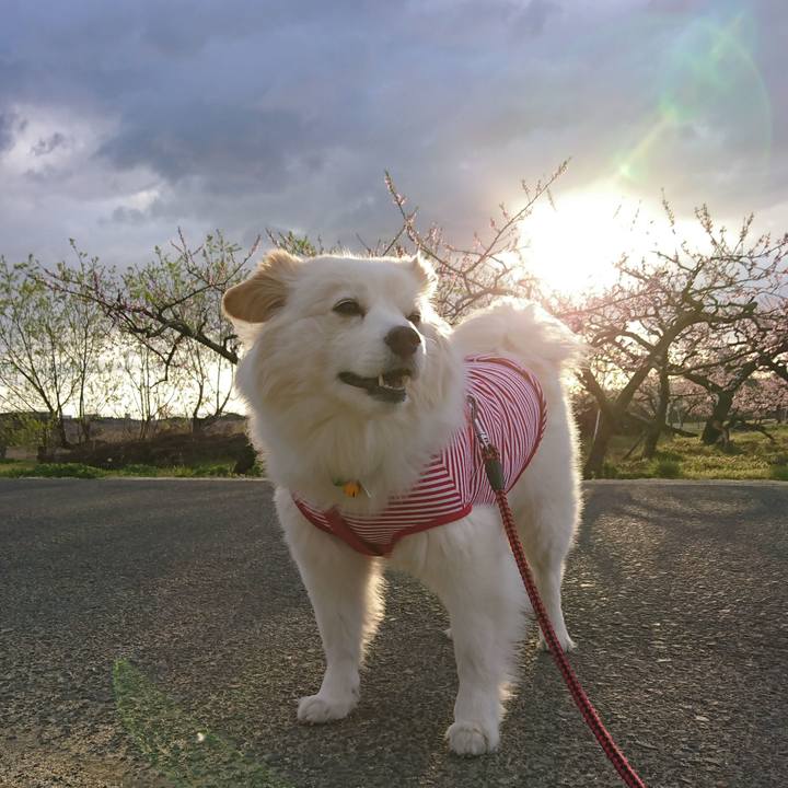 5d97b924 3f7e 41aa 84e3 34bb1c84872c 1523567831996