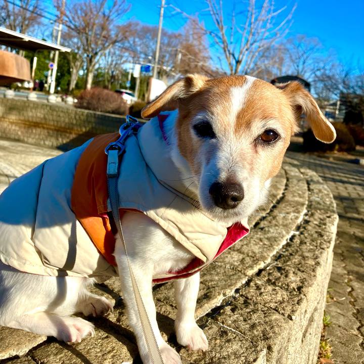 5d97ba8f 6caa 4d35 b3ab 33b6f80de8c4 1704676556752