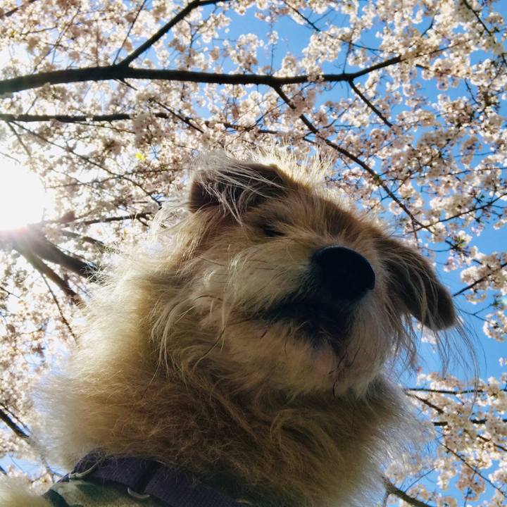 5d97bfeb 774b 42d2 900b 5436881cfd72 1554781400746