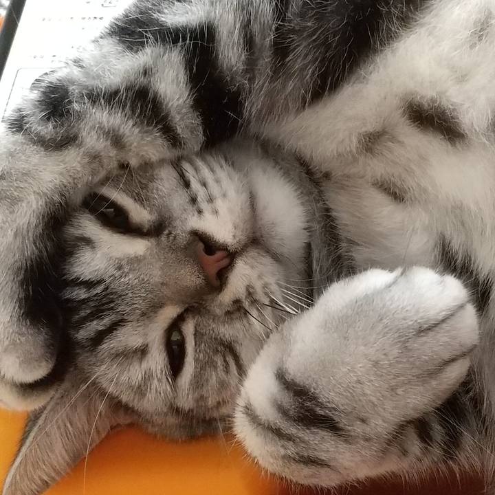 5d97edc7 a641 400f a9f2 96c50e08871d 1629542527014