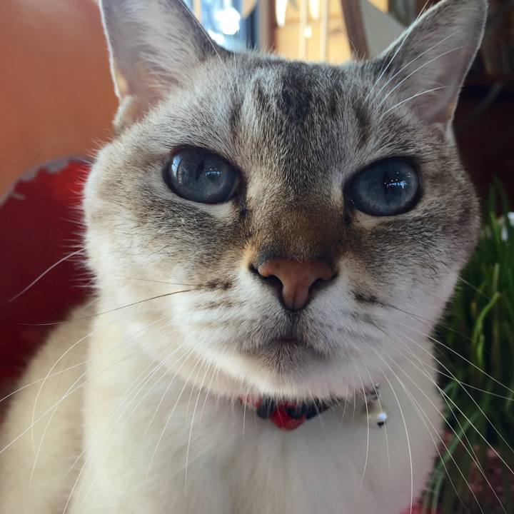 5d9802f0 3302 4ddd 9685 ae98c06b4ed9 1538108776655