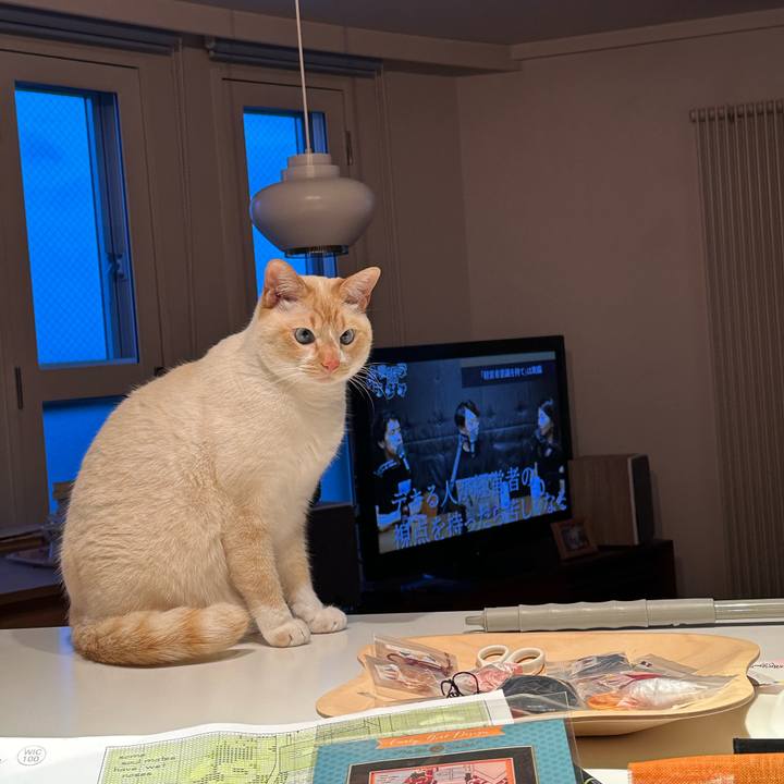 5d984bee b4b0 4cbe be71 d3c9b02f2d16 1772353910373