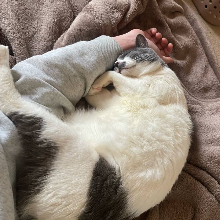 5d9885be 6106 49eb b30c 75a68901d0fb 1712305757354