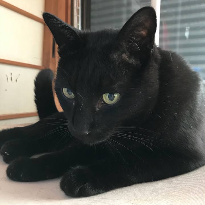 5d9890ac bb12 4fab b928 07ced1710b4b 1522892630168