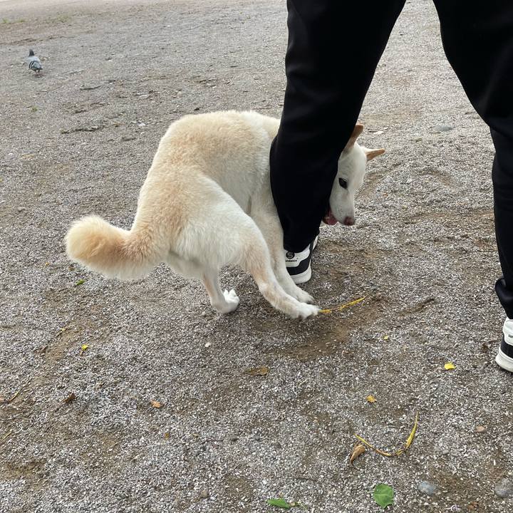 5d98a8a8 53ab 429c b2e5 25d4e9892f09 1652613879604