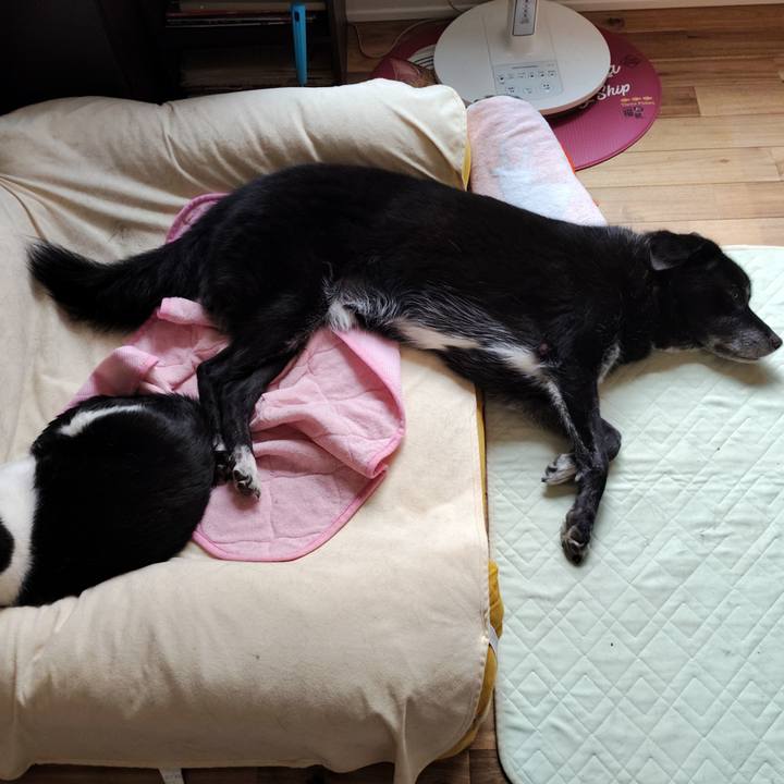 5d98bb30 aea5 4b56 a36e bb9dbc13e342 1761018528979