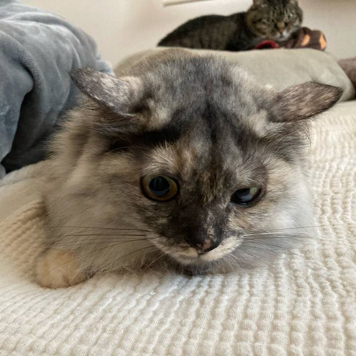 5d98c3aa 709e 498a 8d98 fc6be32c28a0 1769061785196