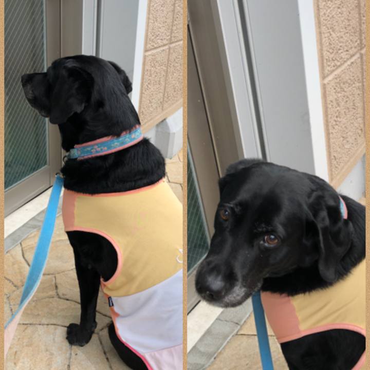 5d98d259 b866 48c1 bfc1 1206c4b269ab 1539306156585