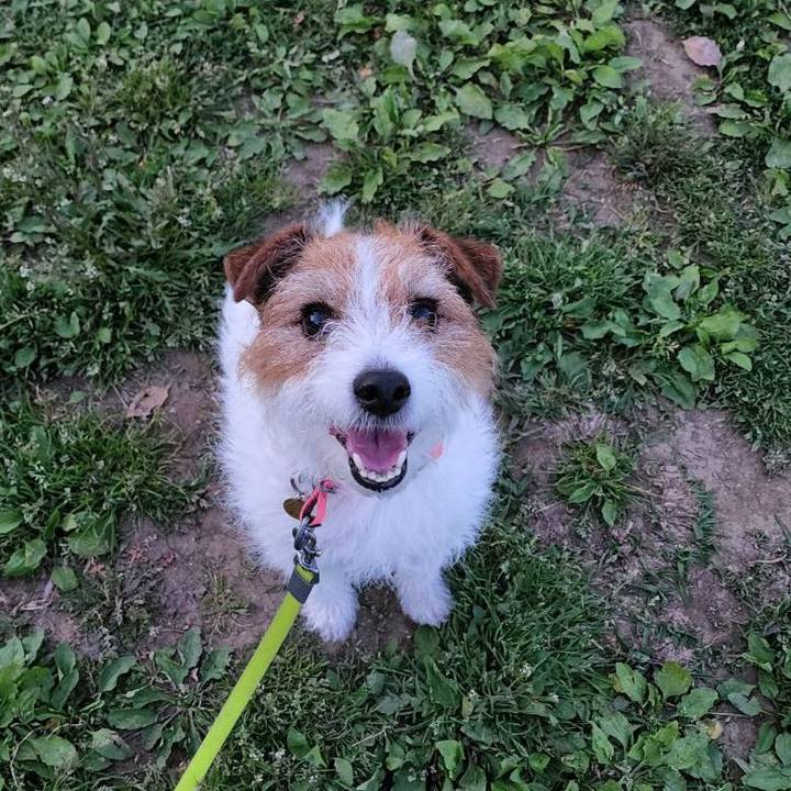 5d98e43b f286 4ecc ab0d 85af1c147f27 1682291863835