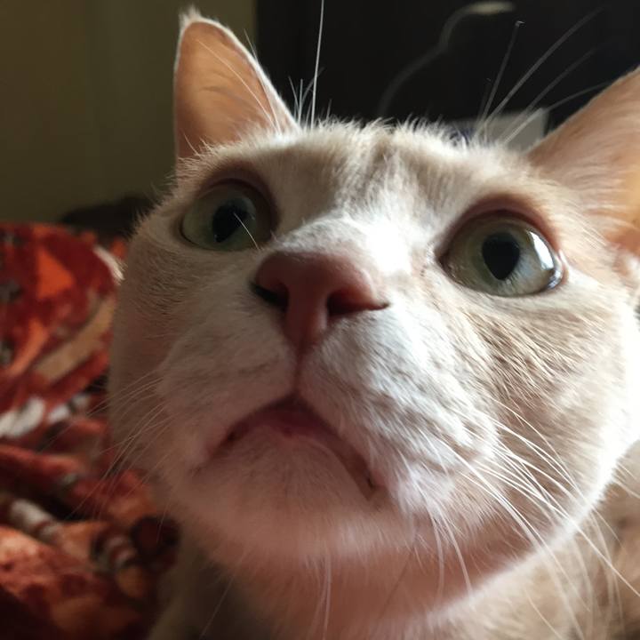 5d98ffc7 5c55 4080 8905 cddbdf4f3663 1544922004324