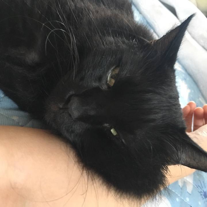 5d992993 08cd 4c48 afd9 73676d828428 1563523287550