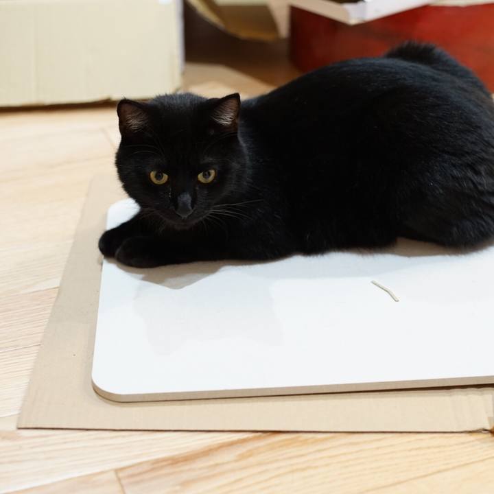 5d996ec3 8d97 44ee b1a5 fe81596f8085 1531658200734