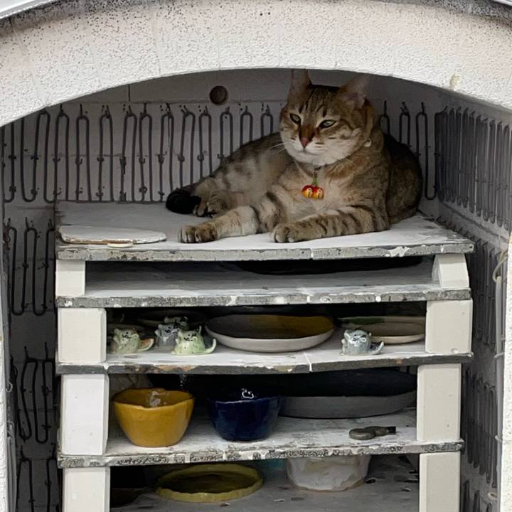 5d99c84d 6f27 462d 9f8c 94cce38fb442 1685812116974