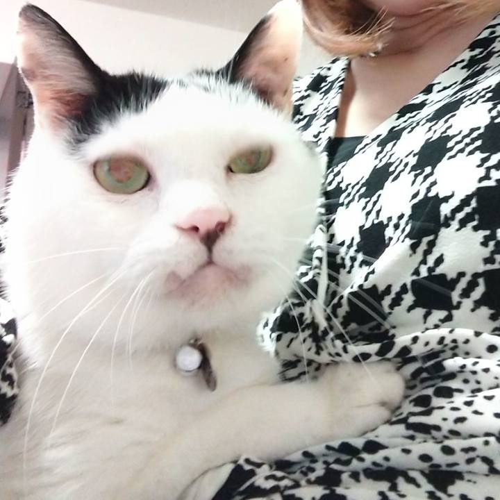 5d9a0de3 3733 4c4d af9e 1fde39bc8e28 1624770627149