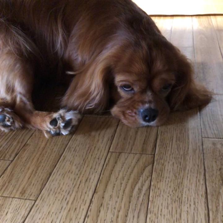 5d9a2597 61a4 49d2 a37f b63efabc2782 1563062725223