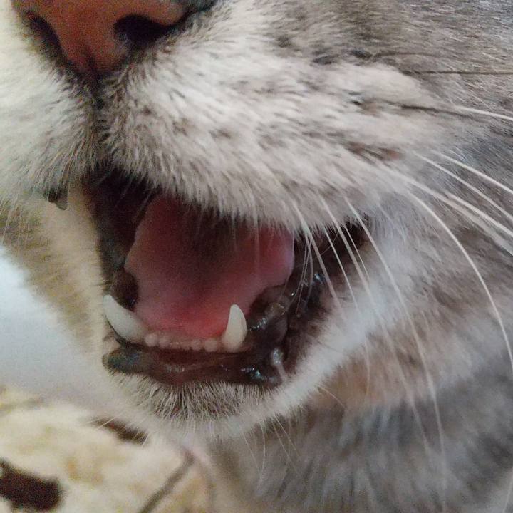 5d9a2d10 7ecb 469f 895b 36ad52b3ca04 1608422277521