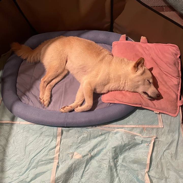 5d9a4324 2446 4ac0 93bc 7b3c8011ccd0 1657118414376