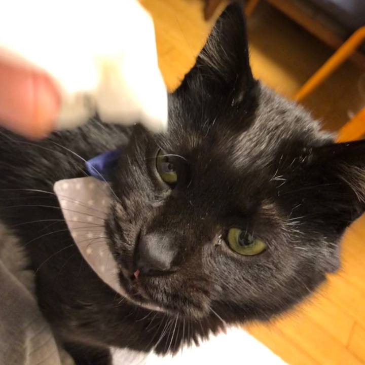 5d9a45bb 004d 4c7a bbf9 9366e99cb6e1 1573900682295