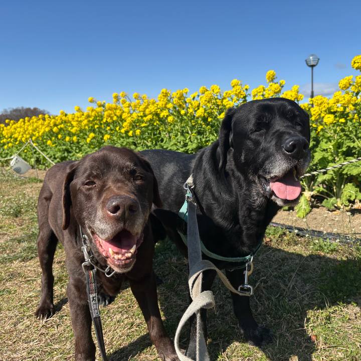 5d9a8ce8 d155 49ad bc27 f0c34f6f76c9 1772283597261