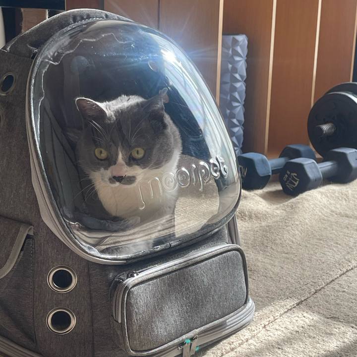 5d9aa1ff d8b3 450a a2dc 6d478ffee59a 1703905573232