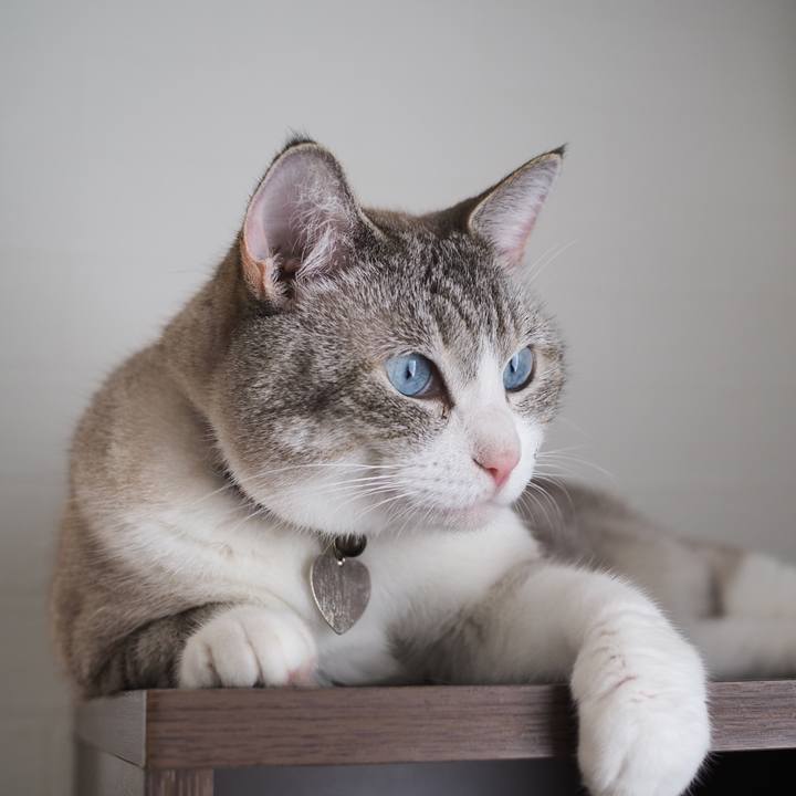 5d9abf0a 423c 4fb4 bda0 7f1ba9c95b70 1598315285720