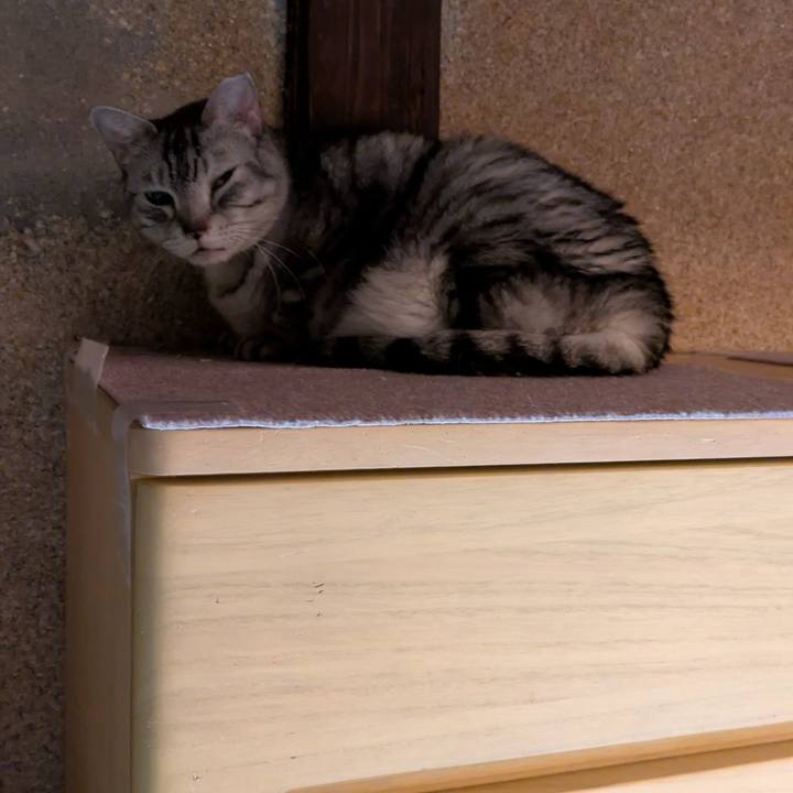 5d9adc2d 10d0 4b16 98f1 e9356acd05c5 1763401935434