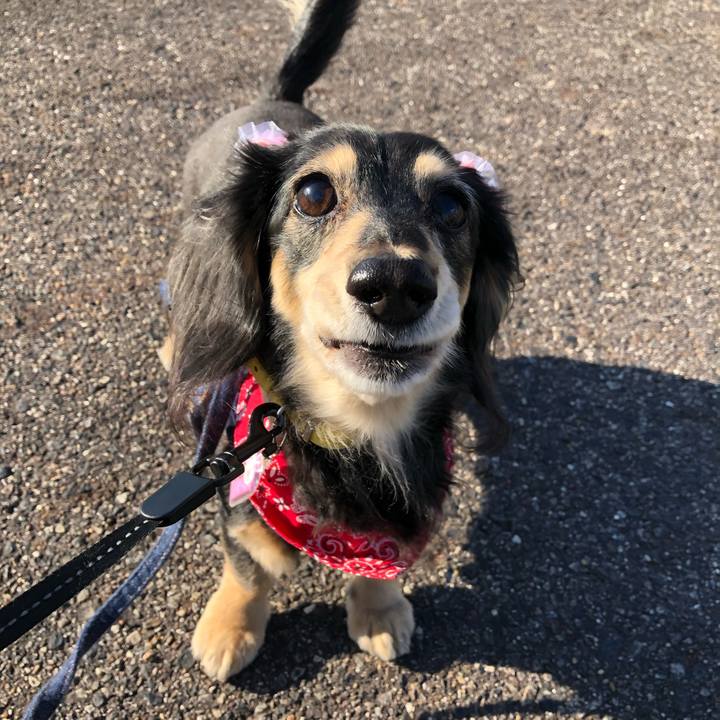 5d9aea09 ce0c 412b 8278 f94e3797d4a4 1605311339562