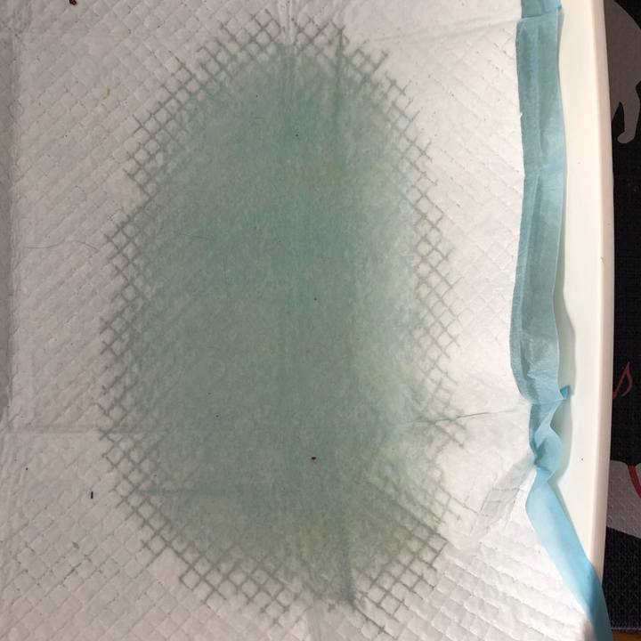 5d9af05d 5002 497e b1b7 ad6f43fcf8d4 1559219454321