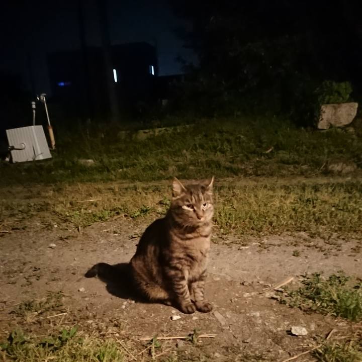 5d9b0124 d7b3 415c bc29 dd4cb6c458e2 1655811364610