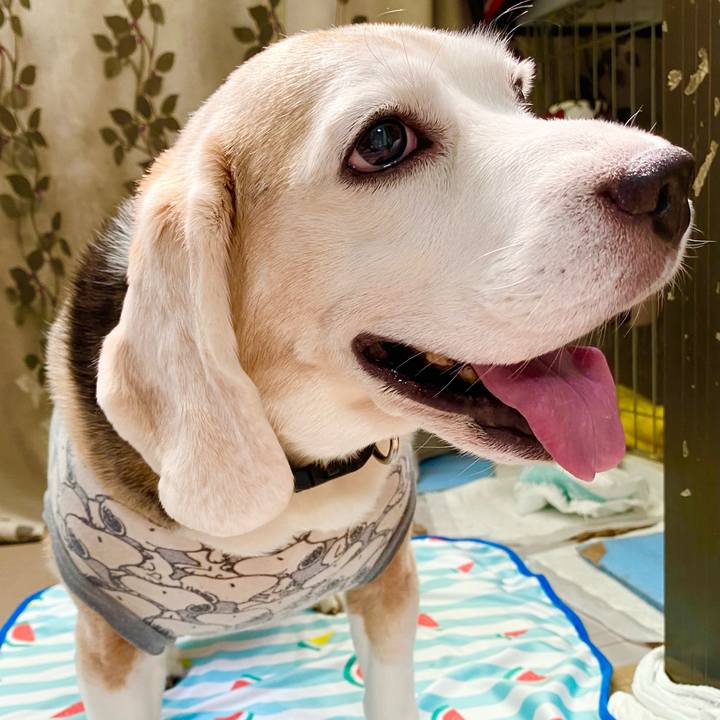 5d9b1dd3 a002 48bf a35a d10cd8f90986 1662271454340