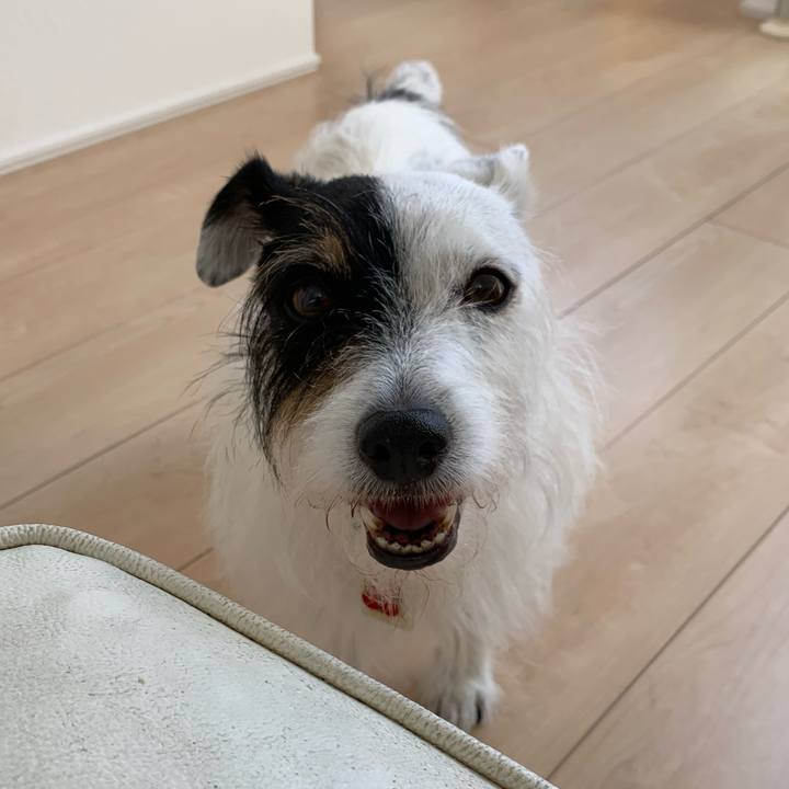 5d9b34a8 8530 4f0a 9655 dc737c829798 1691113403622