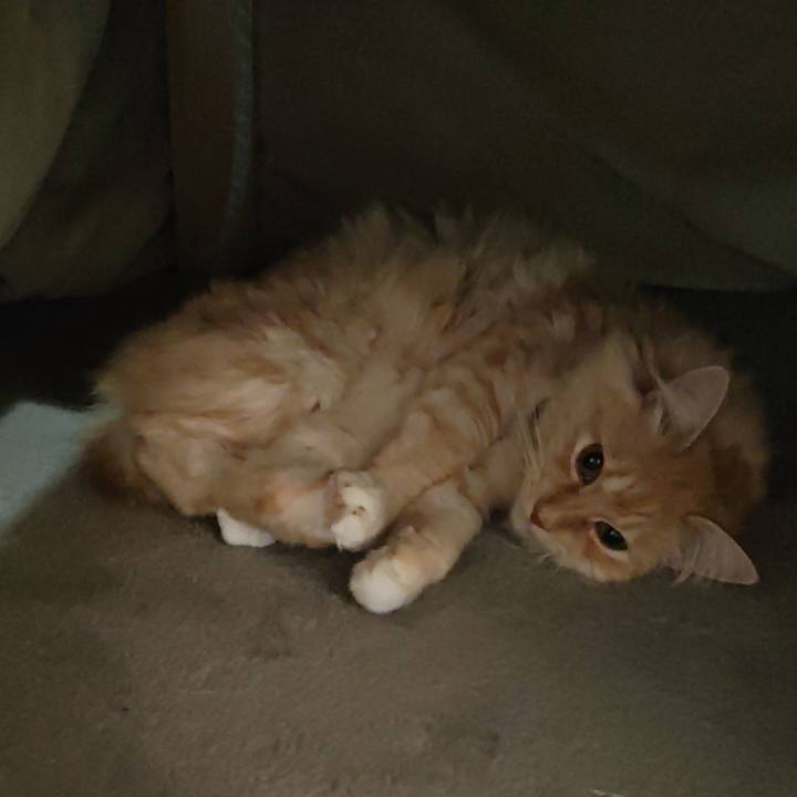 5d9b649d 6dbb 42a8 9537 952c252e2ea4 1701123143018