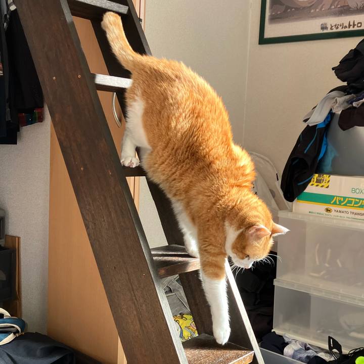 5d9b6d1b 097f 466a 8868 93134b6102a7 1774157565568