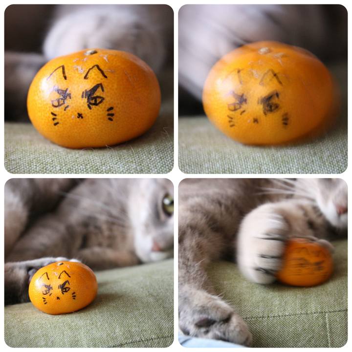 5d9b9653 138c 4ad4 9b2e 6ccff6b3b0d9 1542504763663