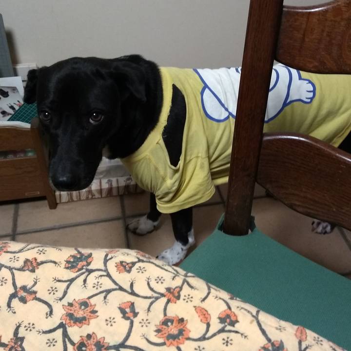 5d9ba625 5825 4220 82e7 d09201a12c14 1608682974043