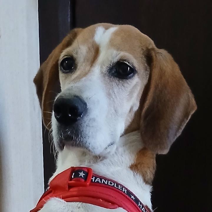 5d9ba6dd ec7a 4189 9f6b 040ff7e17f97 1762422788494