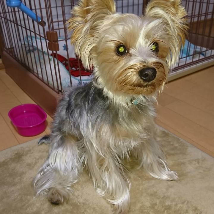 5d9bb2b8 08b5 4a2c 918c 21194aba980c 1511001728972