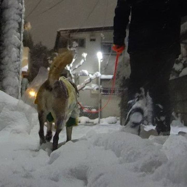 5d9bf4a2 b14e 4bff 8e67 28ff29d1a9f6 1516615974809