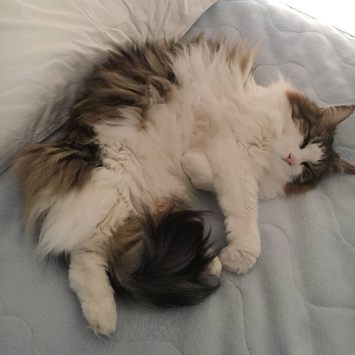 5d9c1b3b aab5 4e89 8098 a9c1cf9224fd 1584345889763