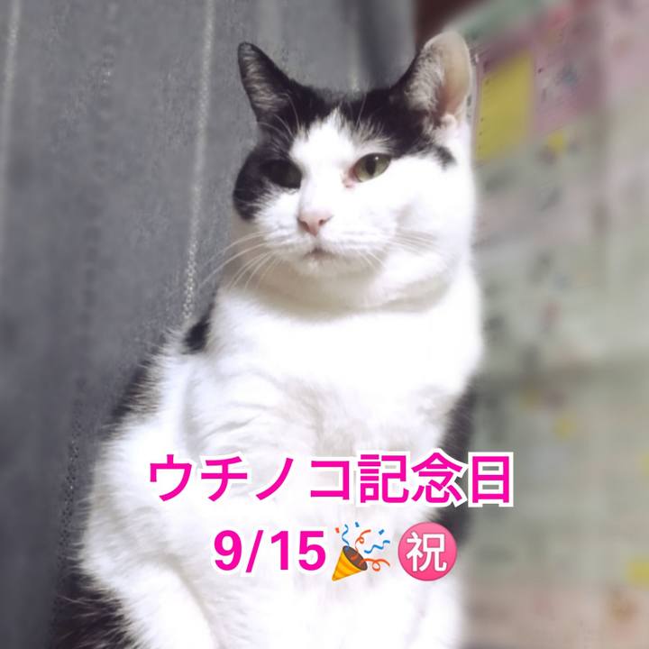 5d9c229a b68e 48c2 9ac4 600fcfe79139 1631661025759