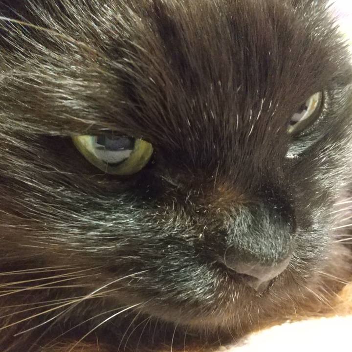 5d9c28eb 1756 481e 9e1e 0a60614ac31b 1643024272196