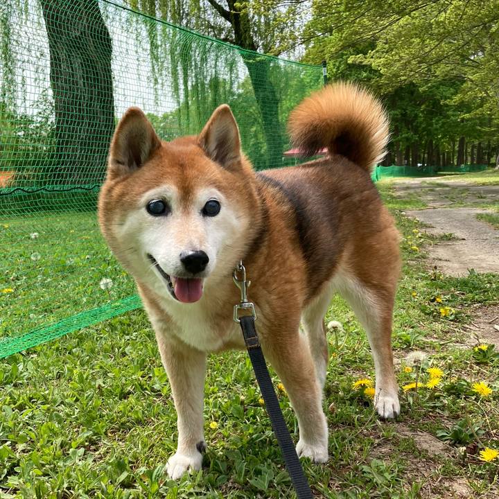 5d9c41b8 b32e 43ac 9995 b6d996b98da7 1713593019540