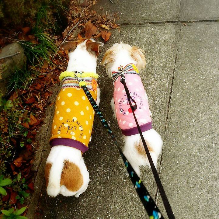 5d9c4de6 5c52 4637 9b2d 93d614baedca 1516517833861