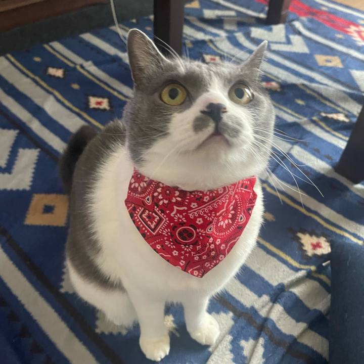 5d9c6a21 f71f 44fe 8430 4186f36694f0 1682150330390