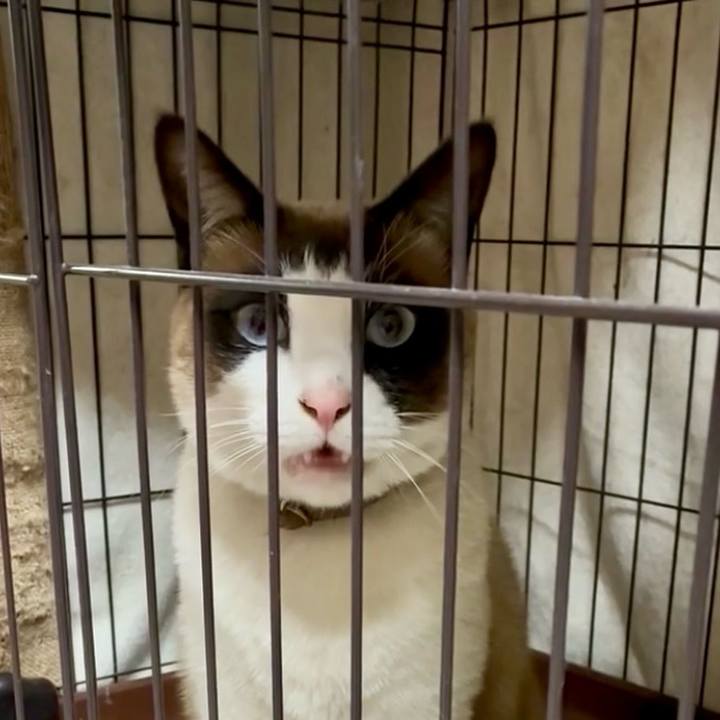 5d9cf5b4 cd6d 4bde adbf 9975bada6626 1744545228018