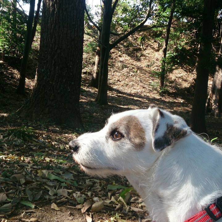 5d9d1143 f52c 467e b047 74e282e54a56 1511654885988