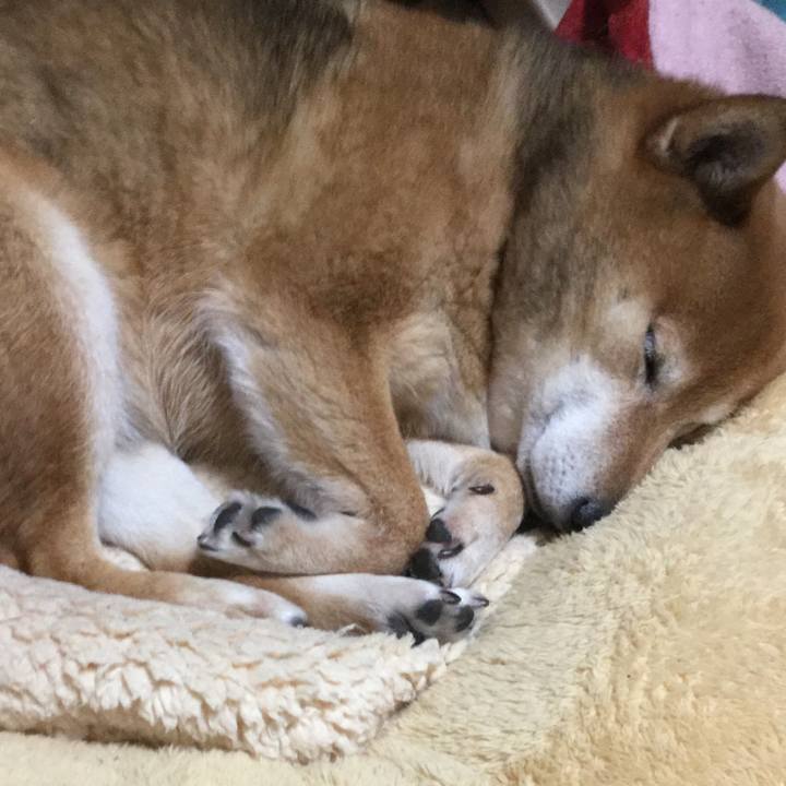 5d9d3892 81c1 4594 ba20 d0edbe1712f5 1583411840340