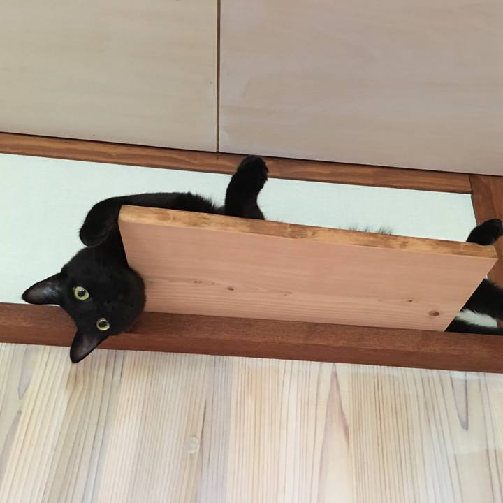 5d9d6096 3695 4c0f 847d b8f71a25c54b 1532388066198