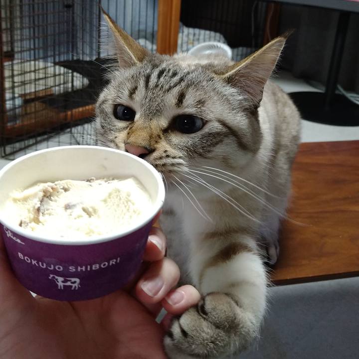 5d9d9a35 ef92 43a1 8436 f10308269950 1647169087966